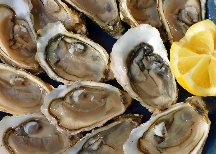 Easy4stay بيت ضيافة بورتيماو